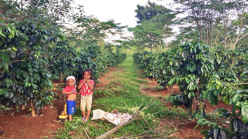 resident farmers