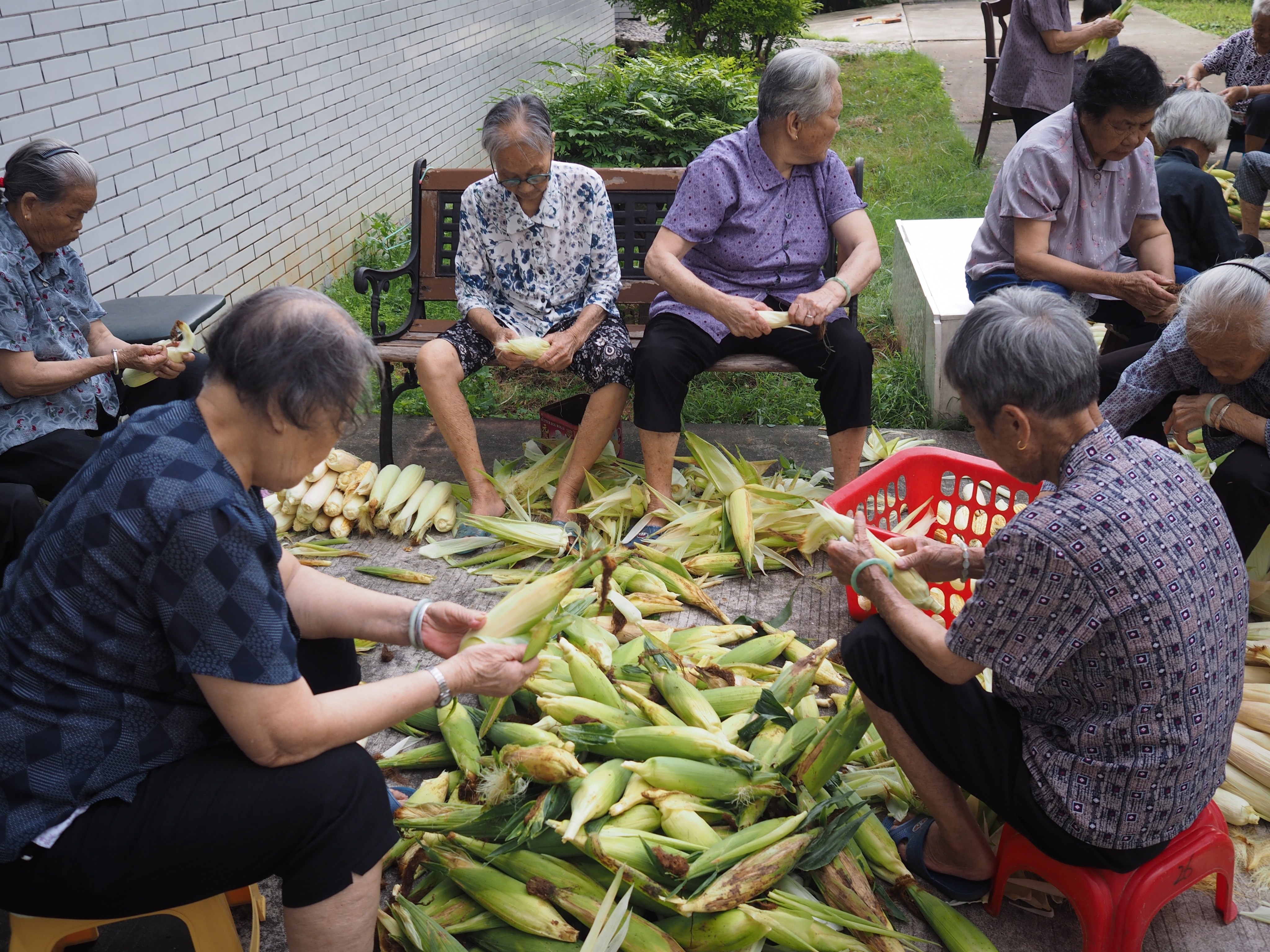 Maclehose_TW_pic1